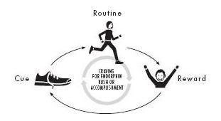 Macht Der Gewoonte /power Of Habit : Ontsluit De Kracht Van Gewoontes!