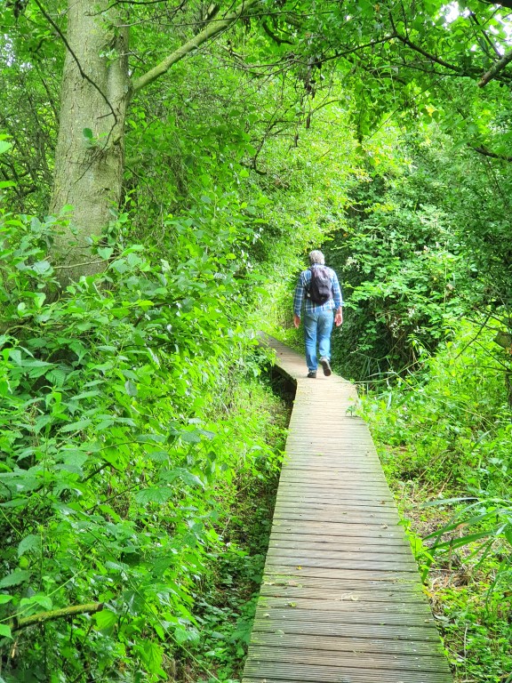 Blankaart Wandelpad: Weg Van De Wereld, Terug Naar De Natuur