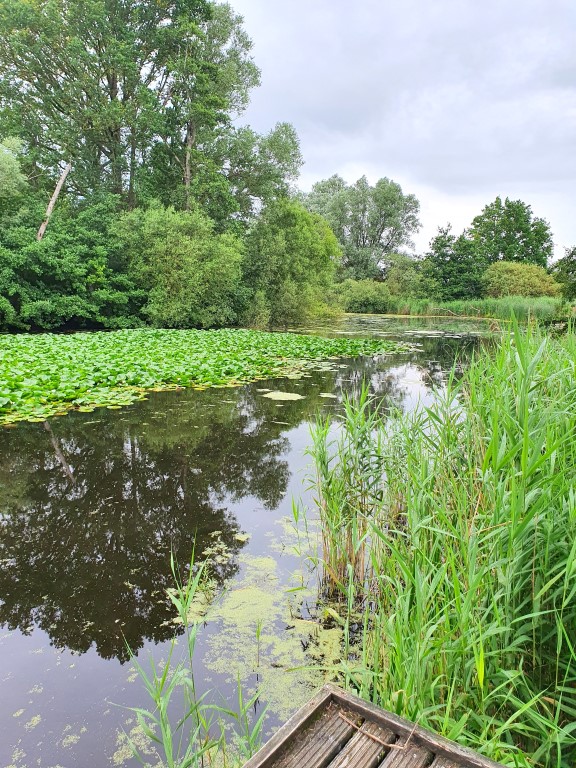 Blankaart Wandelpad: Weg Van De Wereld, Terug Naar De Natuur